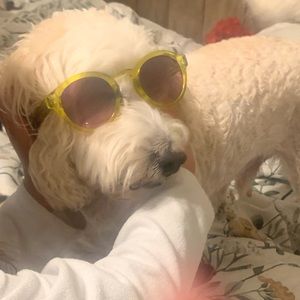 Meet your Posher, Natalie